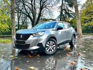 Peugeot 2008 Gris